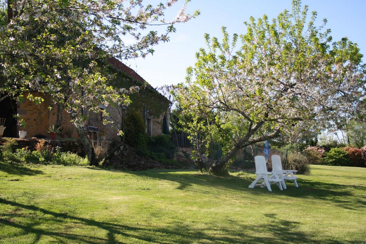 La Vieille Ferme: Superbe Complexe De 3 En Pierre Avec Piscine Au Coeur Du Perigord Noir