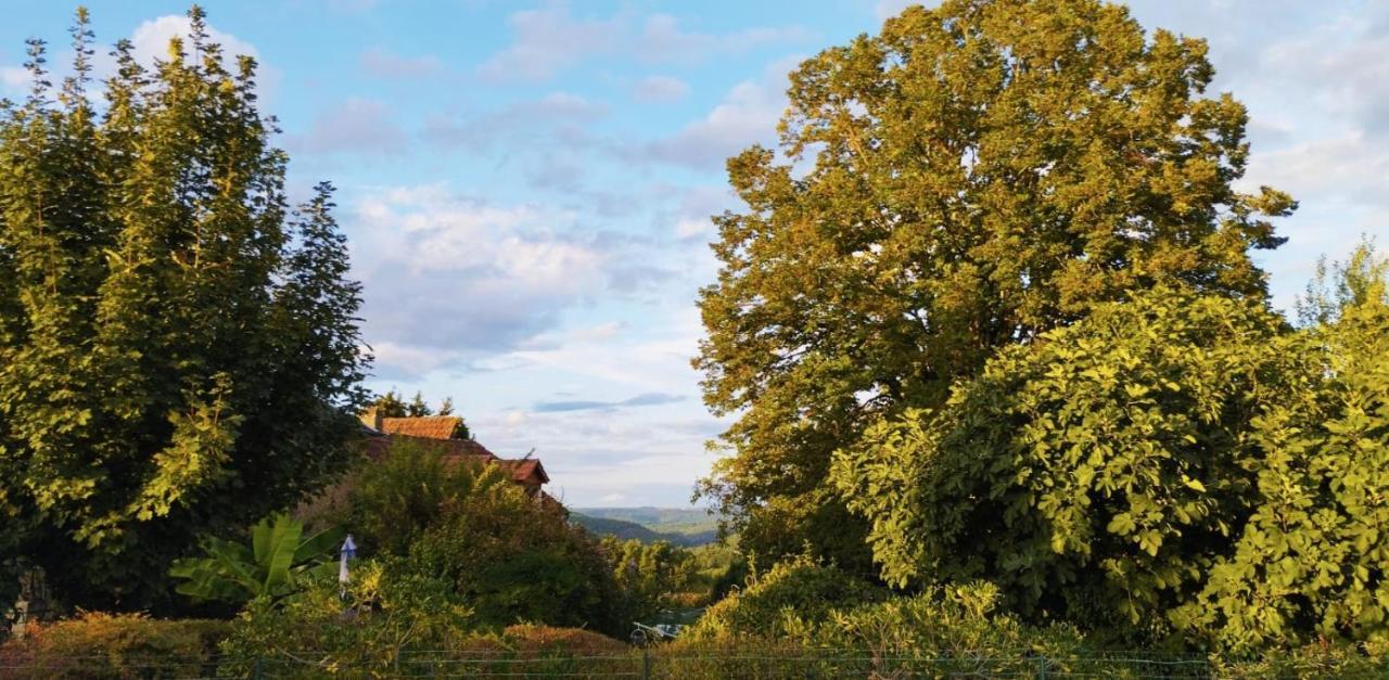 La Vieille Ferme: Superbe Complexe De 3 En Pierre Avec Piscine Au Coeur Du Perigord Noir Holiday home